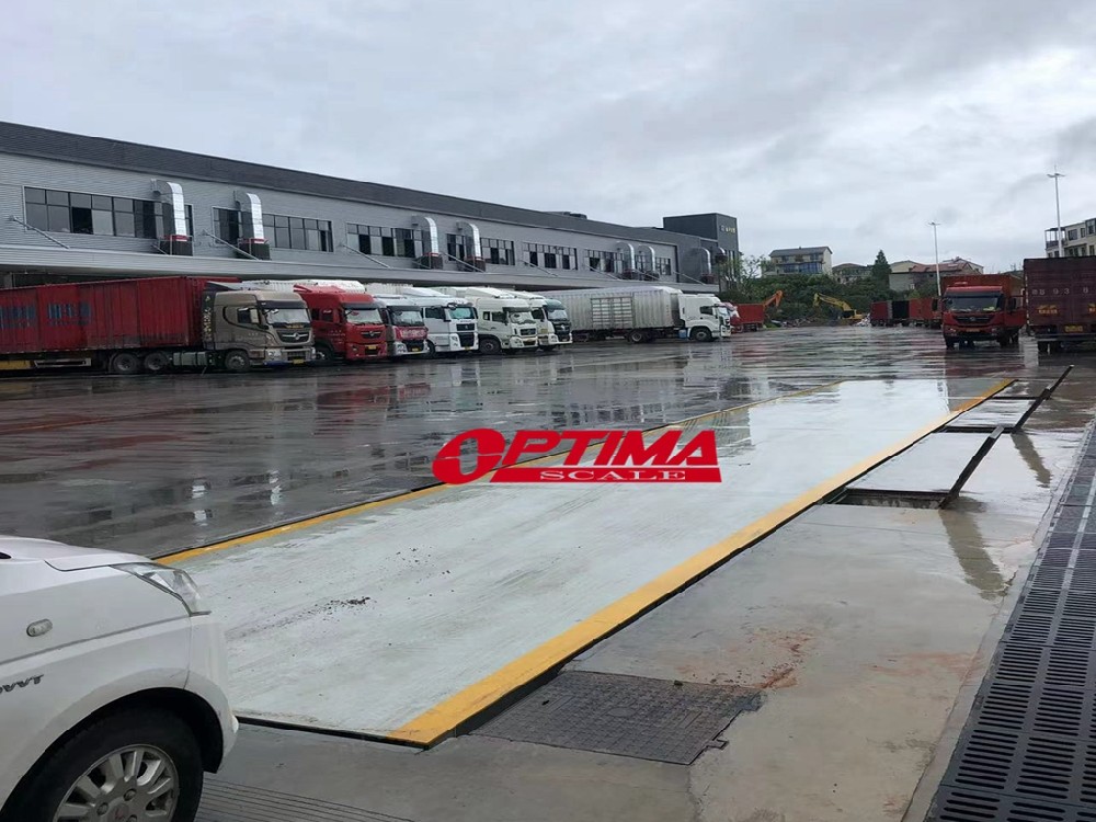 温州顺丰中转站